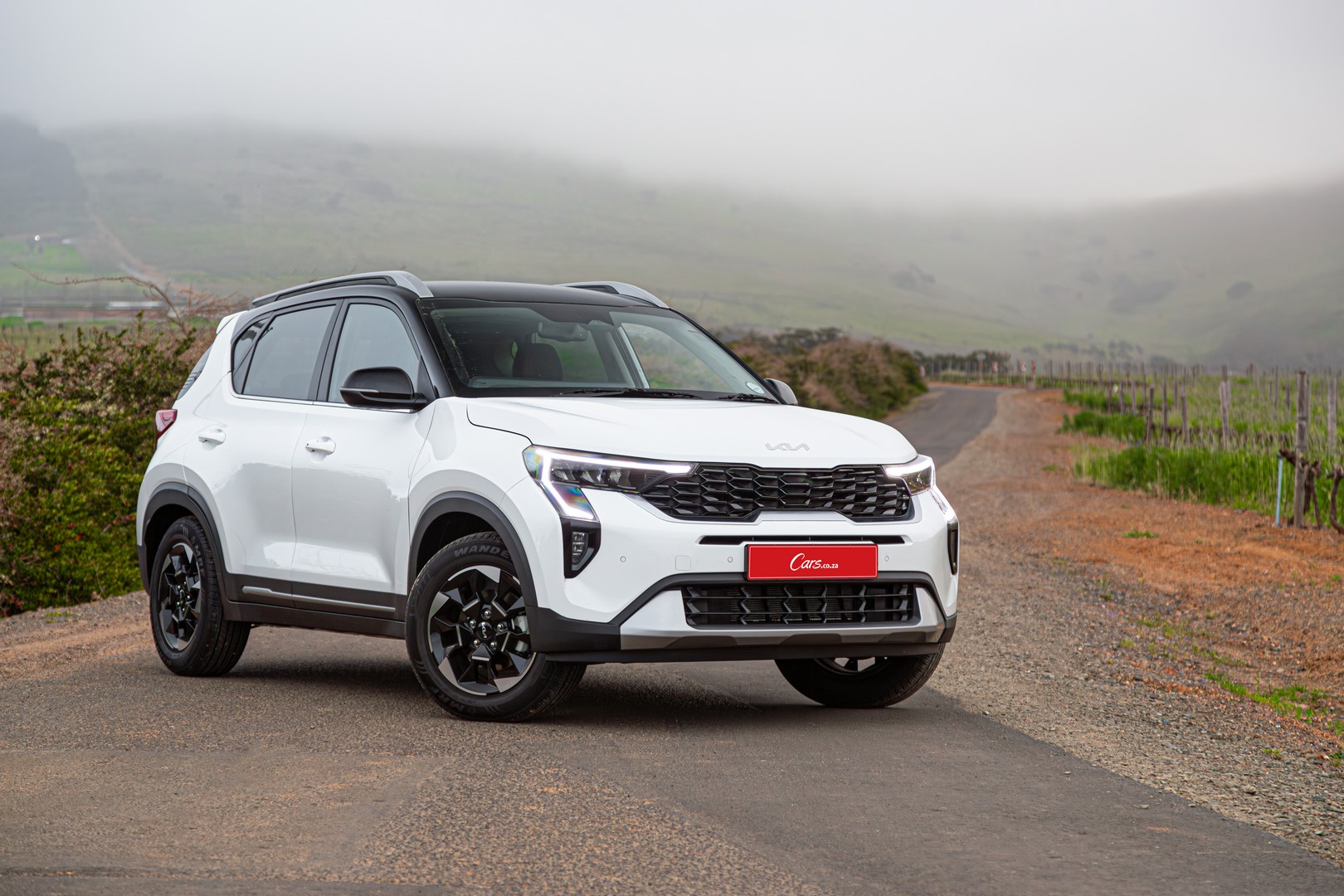 Kia Cars South Africa