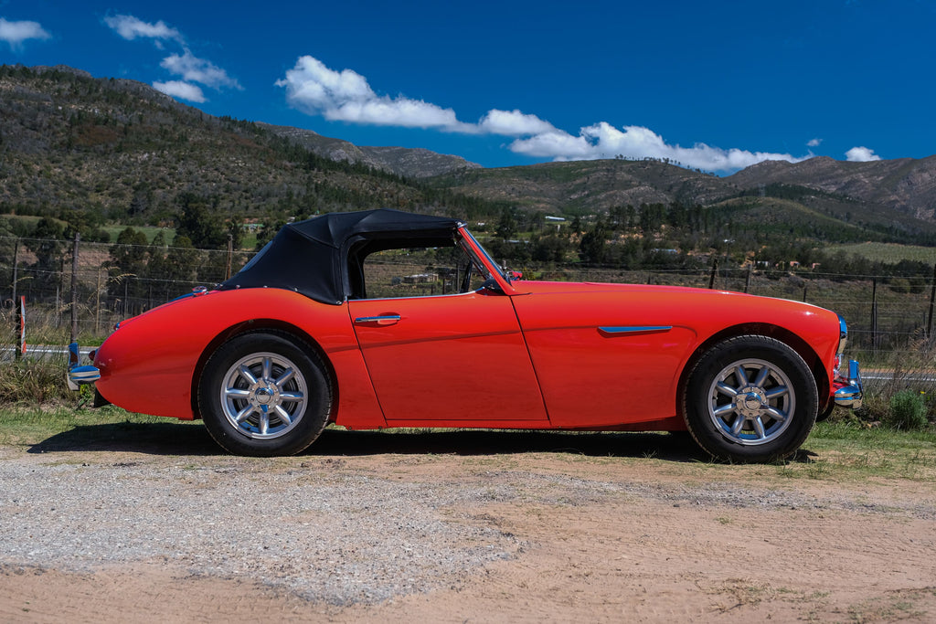 Austin-Healey profile view