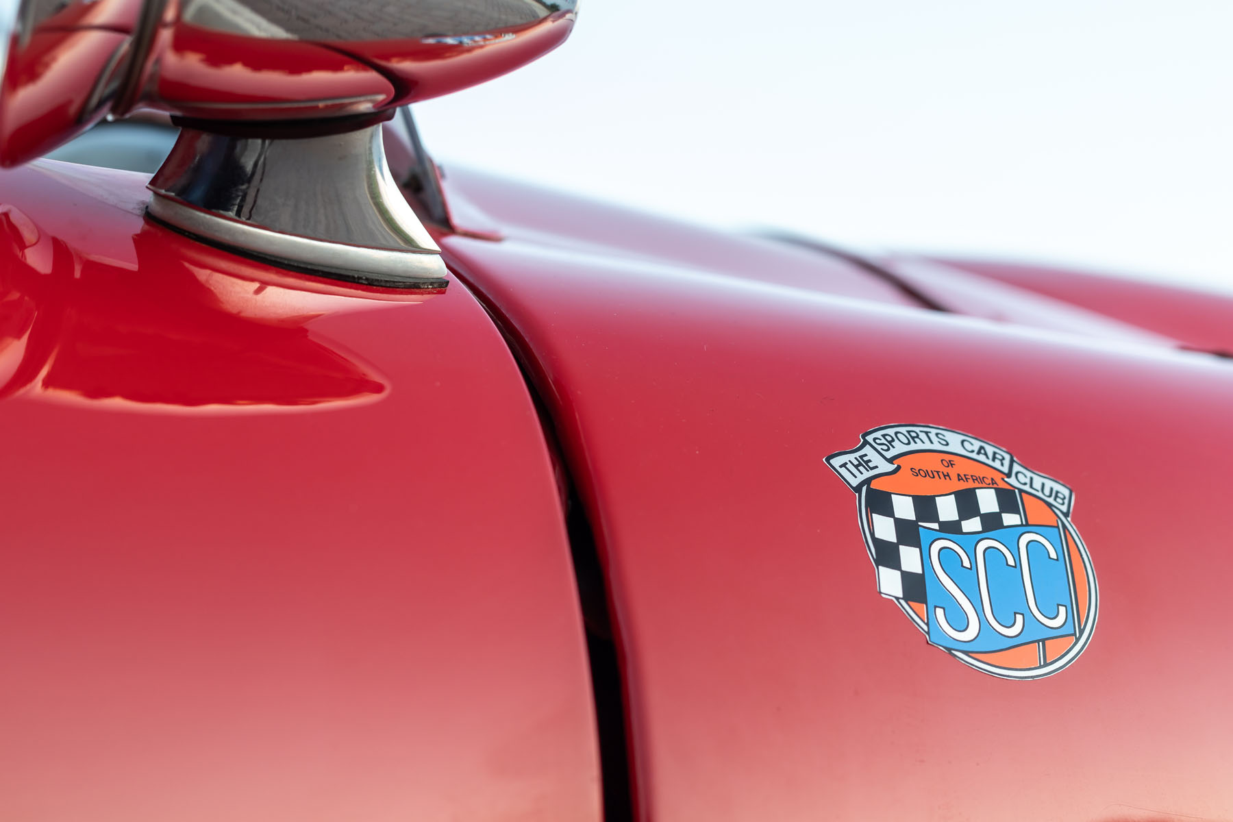 Protea Triumph fender decal