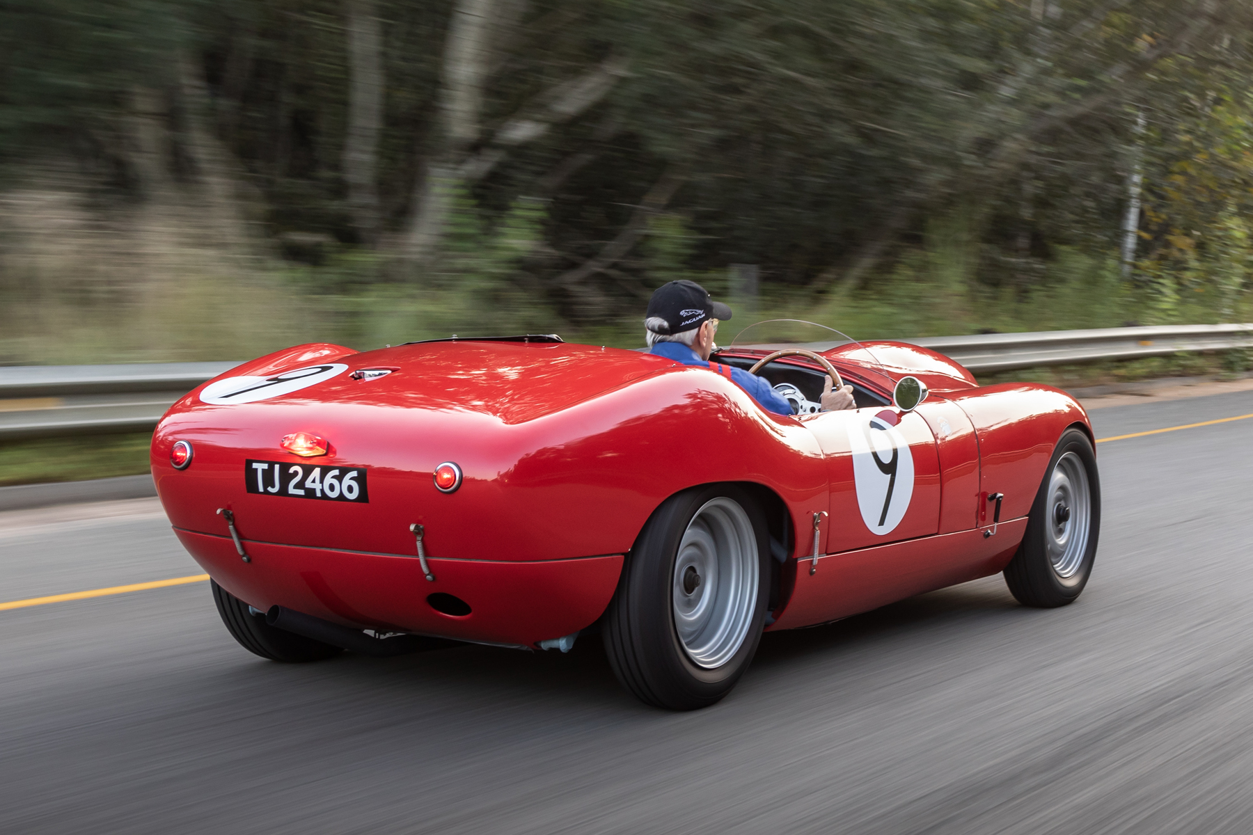 Protea Triumph rear tracking shot
