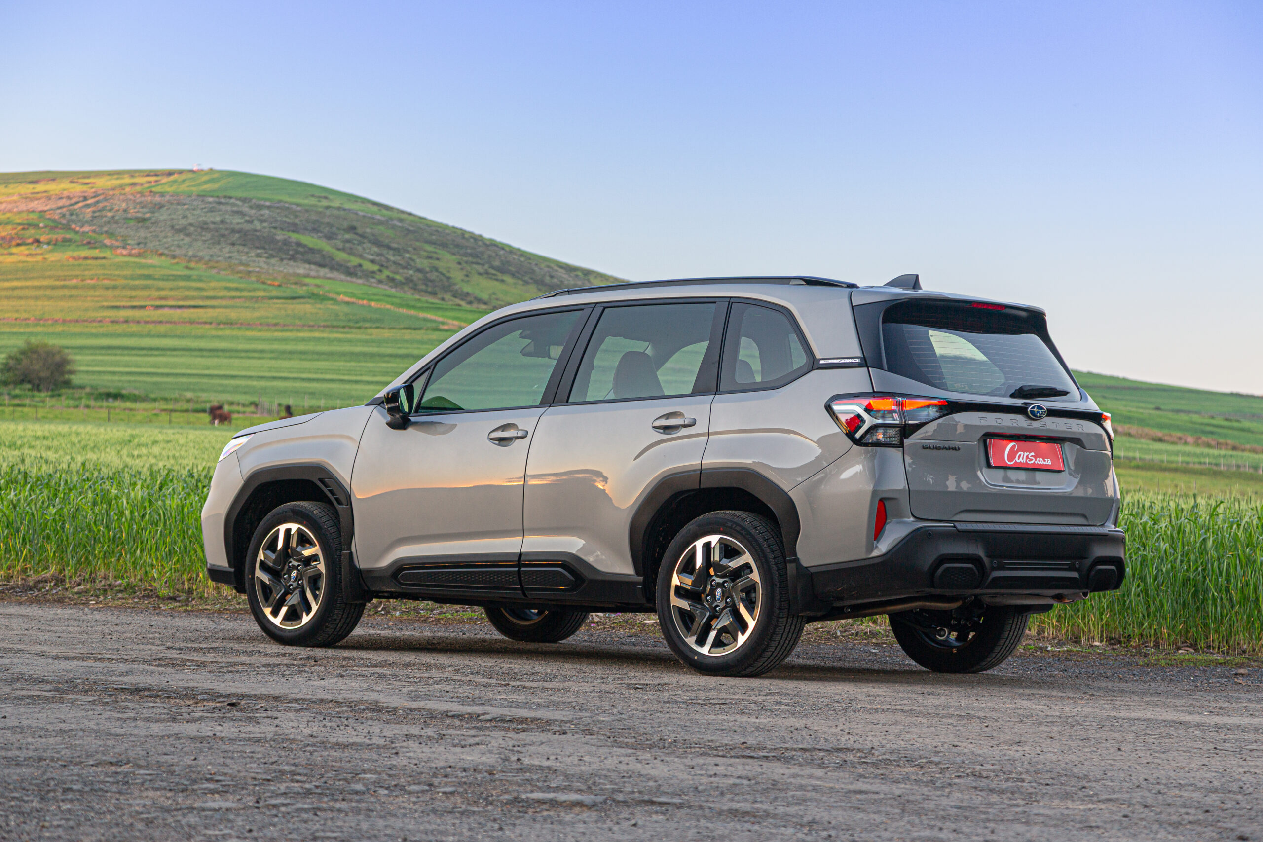 Forester rear design