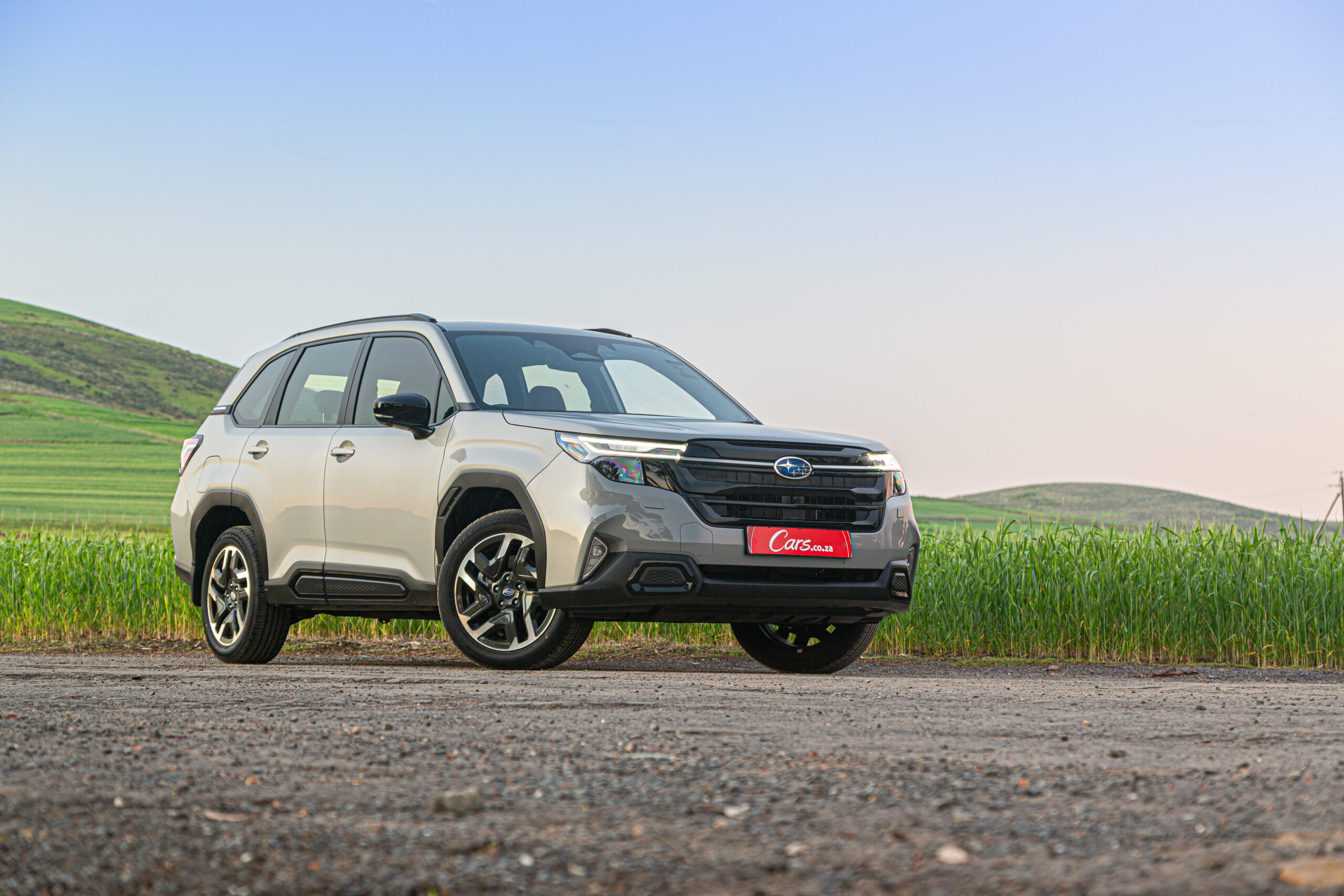 Forester front