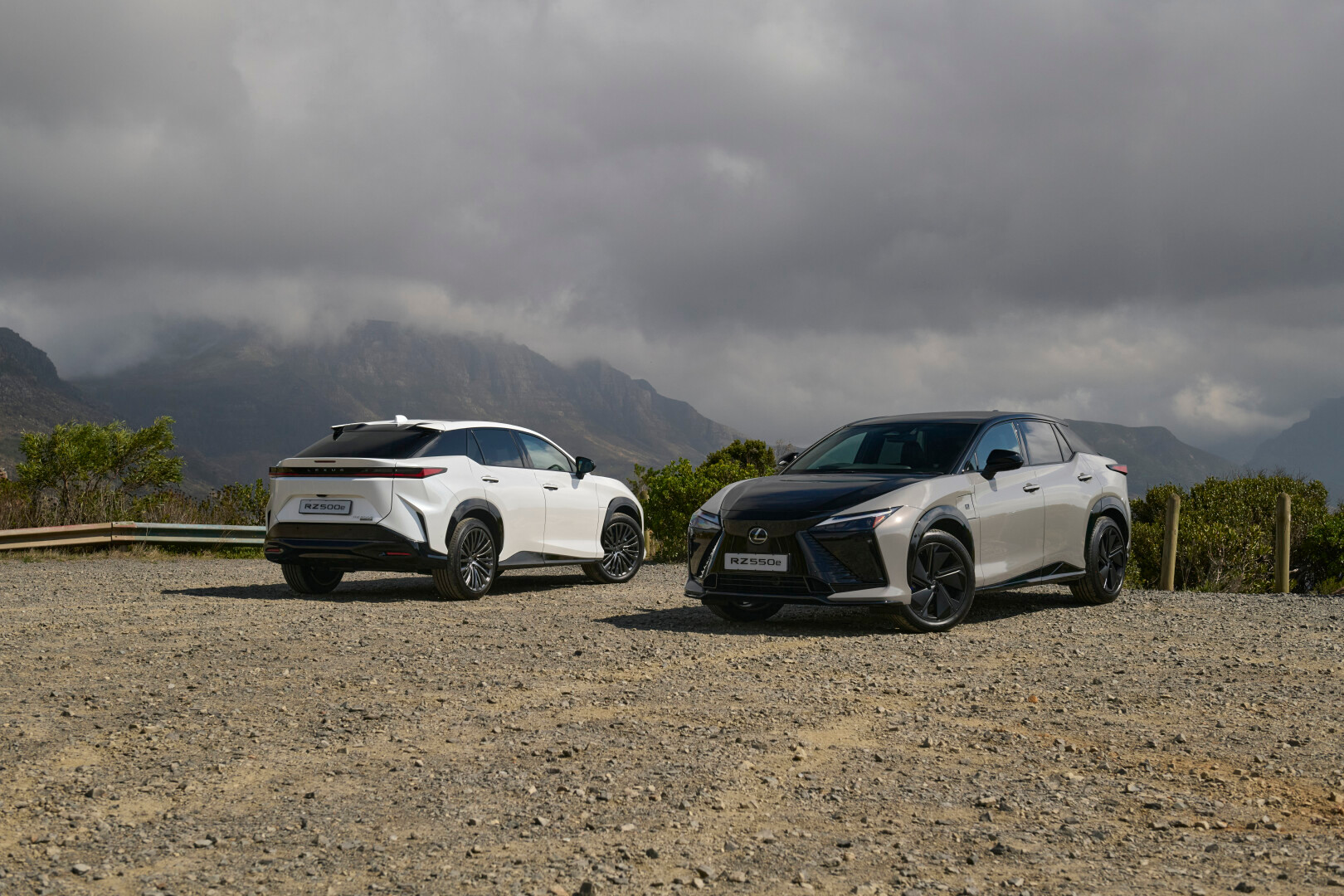 Lexus RZ bas and F-Sport